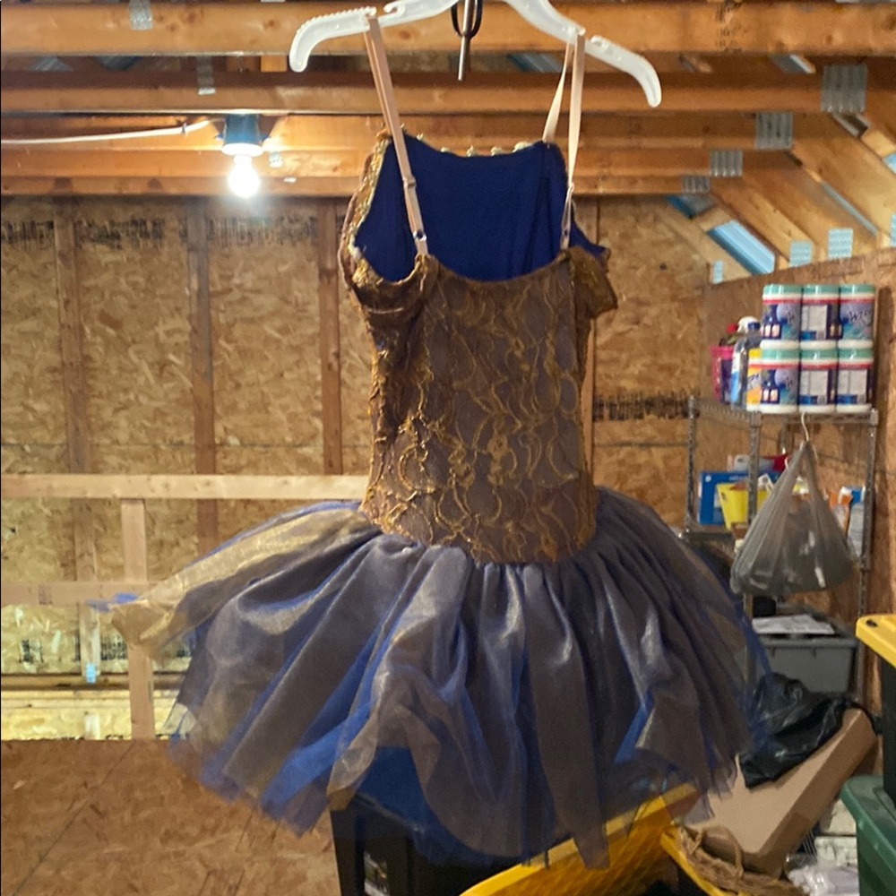 Elegant Kids Dance Costume in Gold and Blue - Picture 4 of 4